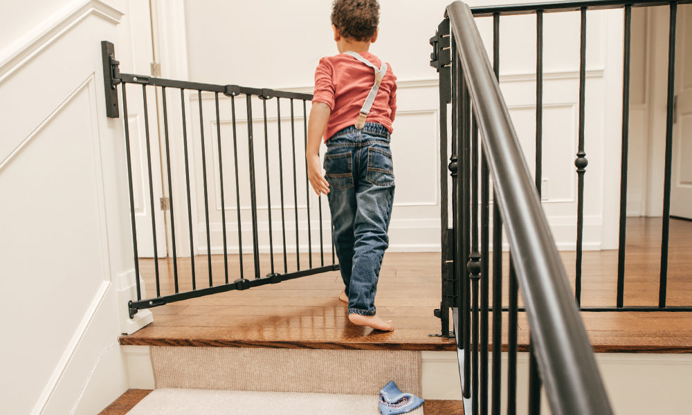 Design Meets Protection — A Guide to Safeguarding Your Home