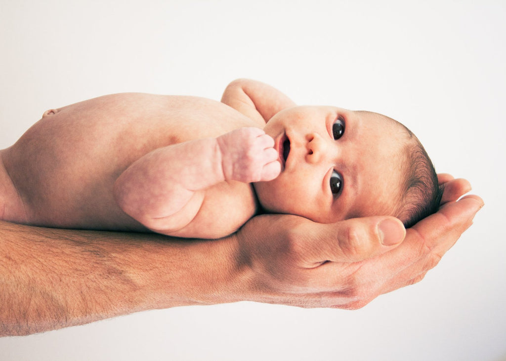 OB-GYN, Midwife, or Doula — Which Works Best for My Needs? - minibloom
